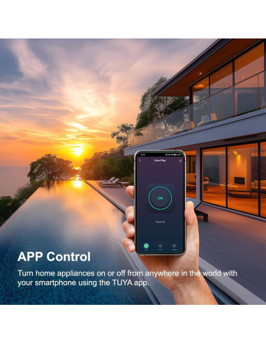 Enchufe Inteligente WiFi wooaismart 16A Control por Voz 2 Pcs