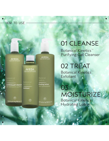 Limpiador en Gel Aveda Botanical Kinetics 500 ml Piel Normal a Grasa Limpiador en Gel Aveda Botanical Kinetics 500 ml Piel Normal a Grasa