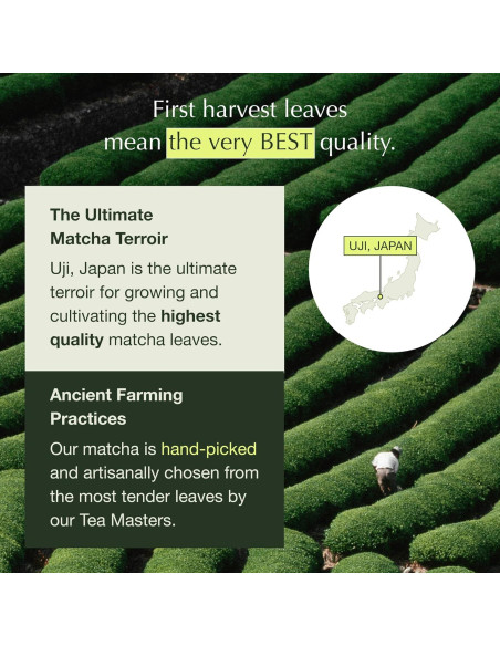 Té Matcha Ceremonial Orgánico Encha 30g de Japón Té Matcha Ceremonial Orgánico Encha 30g de Japón