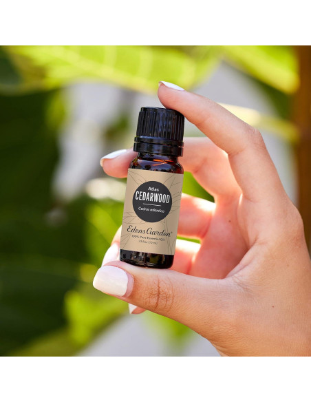 Aceite Esencial Madera de Cedro Edens Garden 10 ml Puro Aceite Esencial Madera de Cedro Edens Garden 10 ml Puro