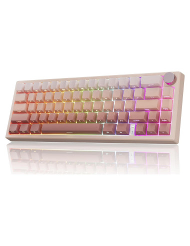 Teclado Mecánico Inalámbrico RisoPhy 60% con Retroiluminación