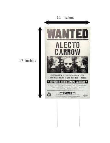 Carteles Se Busca Harry Potter Rubie's Jardín 5 Piezas