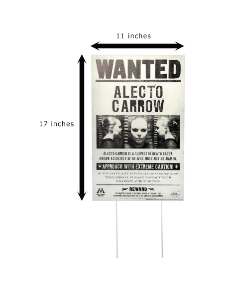 Carteles Se Busca Harry Potter Rubie's Jardín 5 Piezas Carteles Se Busca Harry Potter Rubie's Jardín 5 Piezas