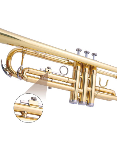 Trompeta Bb Carolina Winds CW201TPT para estudiantes