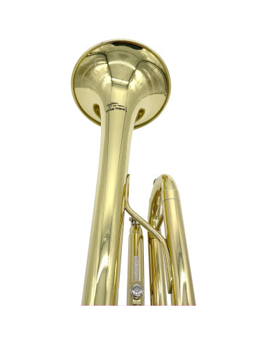 Trompeta Bb Carolina Winds CW201TPT para estudiantes