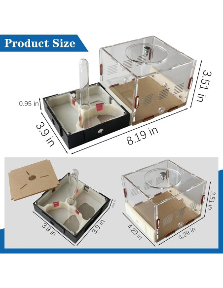 Kit Terrario Hormigas Ants Footsteps 9.91x20.81 cm Kit Terrario Hormigas Ants Footsteps 9.91x20.81 cm