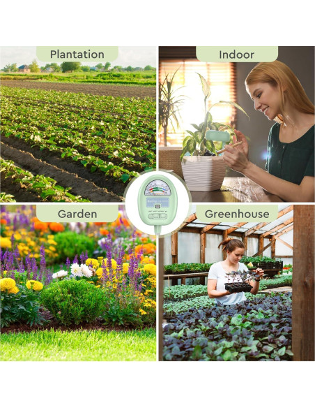 Medidor de Humedad del Suelo Raintrip 4-en-1 para Plantas Medidor de Humedad del Suelo Raintrip 4-en-1 para Plantas