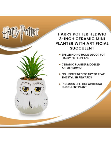 Maceta Mini Hedwig Cerámica 7,62 cm con Suculenta Artificial