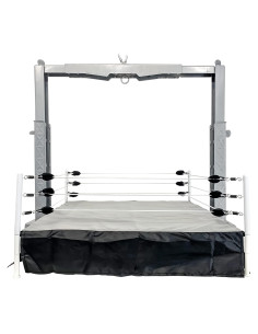 Juego Agarrar El Equipo Figures Toy Company para Lucha Libre