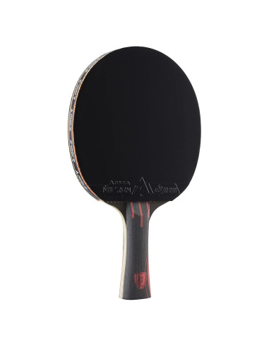 Raqueta de Ping Pong JOOLA Infinity Overdrive - Avanzada