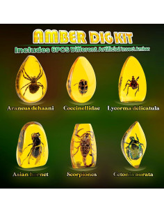 Kit de Excavación de Ámbar GobiDex - 6 Insectos para Niños 2