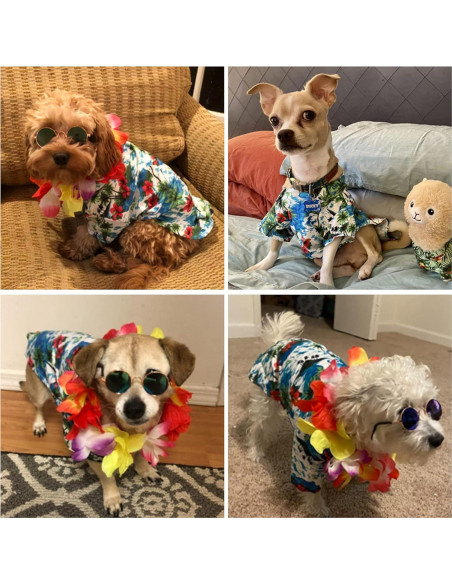 Disfraz Hawaiano para Perros Geyoga 3 Piezas Verano Disfraz Hawaiano para Perros Geyoga 3 Piezas Verano