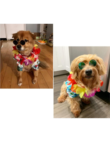 Disfraz Hawaiano para Perros Geyoga 3 Piezas Verano Disfraz Hawaiano para Perros Geyoga 3 Piezas Verano