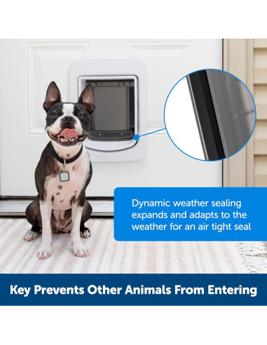 Puerta para Mascotas SmartDoor Mediana Con App y Control Remoto