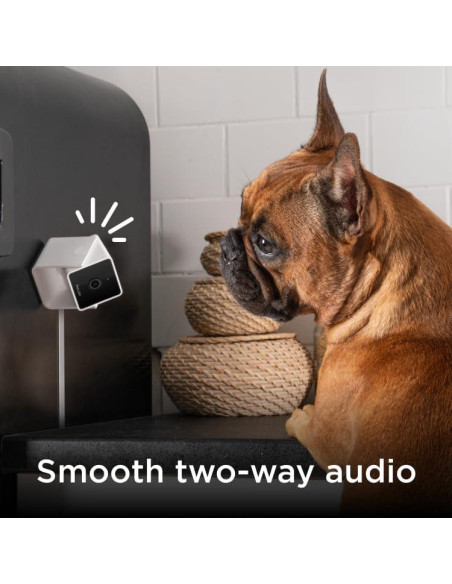 Cámara de Seguridad Petcube HD 1080p con Audio Bidireccional Cámara de Seguridad Petcube HD 1080p con Audio Bidireccional