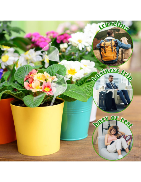 Esferas de Autorriego Haawooky 8 Pack para Plantas Esferas de Autorriego Haawooky 8 Pack para Plantas