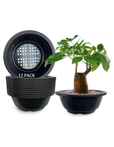 Macetas Redondas MUZHI 12 Piezas para Bonsai 19.8 cm