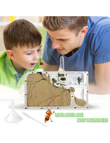 Granja de Hormigas ELNMLHT B con Kit Educativo y Herramientas Granja de Hormigas ELNMLHT B con Kit Educativo y Herramientas