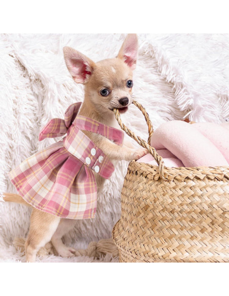 Conjunto de vestido a cuadros para perros Potchen 4 piezas M Conjunto de vestido a cuadros para perros Potchen 4 piezas M