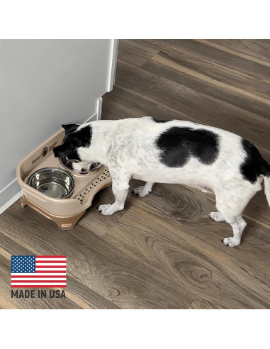 Neater Feeder Cuencos para Perros Pequeños Antiderrames