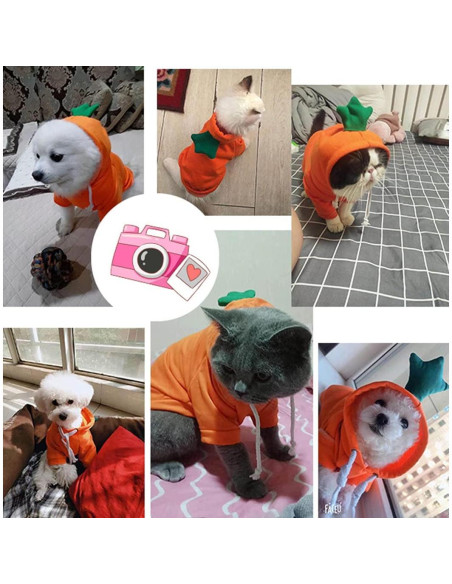 Sudadera para Perros XIAOYU Modelo Zanahoria Talla M Sudadera para Perros XIAOYU Modelo Zanahoria Talla M