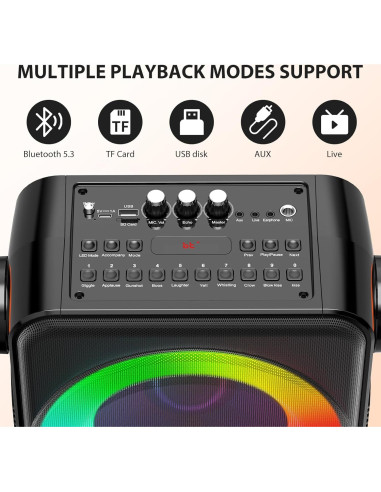 Máquina de Karaoke PPMIC S66 Bluetooth 5.3 2 Micrófonos