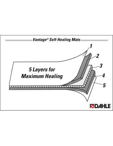 Dahle Vantage 10670 Mat de Corte Autocurativo 30,5x22,9 cm