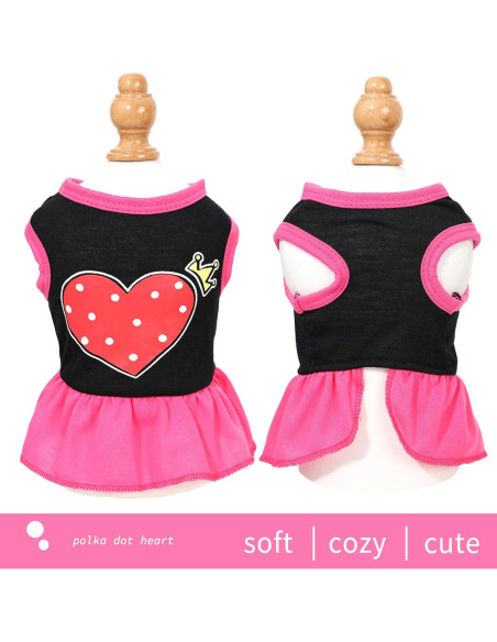 Conjunto de Vestido para Perro Uswalnna 2 Piezas Primavera Conjunto de Vestido para Perro Uswalnna 2 Piezas Primavera