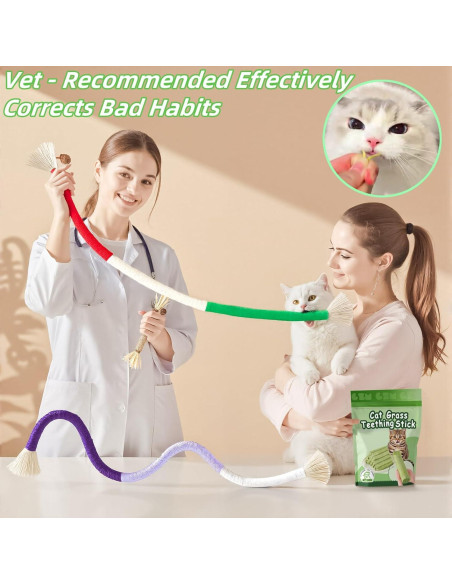 Juguetes para Gatos 12 Pack Catnip y Silvervine GREMBEB Juguetes para Gatos 12 Pack Catnip y Silvervine GREMBEB