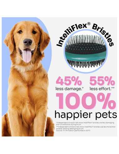 Cepillo Desenredante 2-en-1 Wet Brush para Mascotas - Verde
