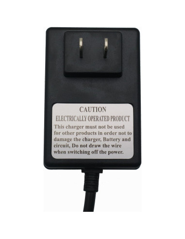 Cargador de coche eléctrico 12V WEELYE para niños