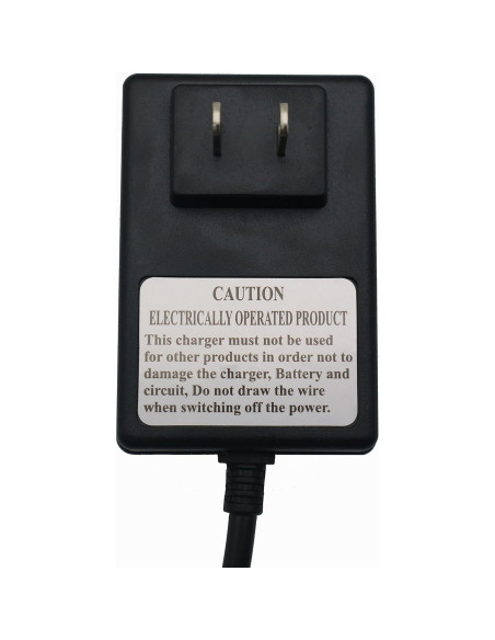 Cargador de coche eléctrico 12V WEELYE para niños Cargador de coche eléctrico 12V WEELYE para niños