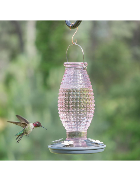 Alimentador de Colibríes Vintage Perky-Pet 8131-2 710 ml Alimentador de Colibríes Vintage Perky-Pet 8131-2 710 ml