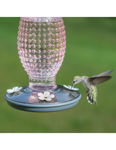 Alimentador de Colibríes Vintage Perky-Pet 8131-2 710 ml Alimentador de Colibríes Vintage Perky-Pet 8131-2 710 ml