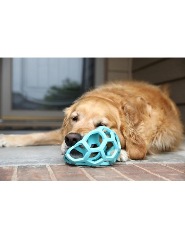 JW Pet Hol-ee Roller Juguete para Perros Grande Azul