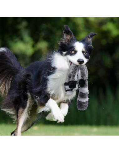 Set de Juguetes para Perros Sin Relleno PDTO - Mapache y Ardilla 40 cm