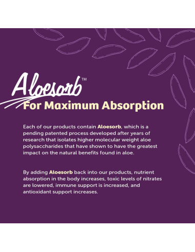 Jugo de Aloe Vera Lirio del Desierto 946 ml - Detox Herbal