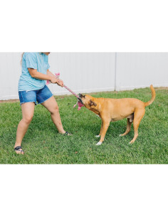 Juguete para Perros Jolly Pets Flathead Tug Vaca Pequeño 12.7cm 2