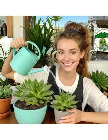 Mezcla de Suelo para Cactus y Suculentas 10L Doter