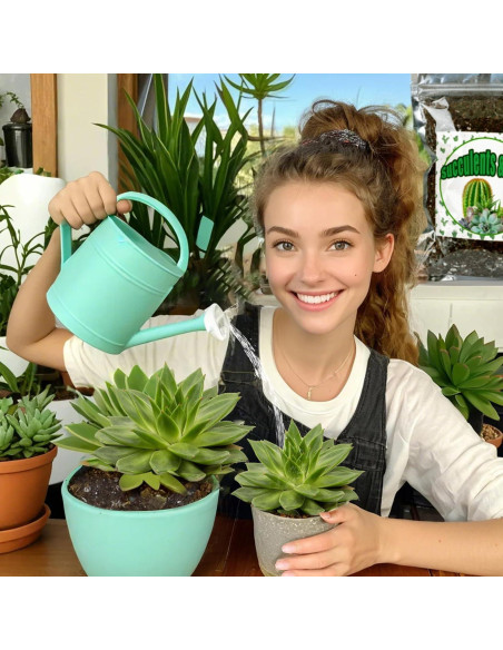 Mezcla de Suelo para Cactus y Suculentas 10L Doter Mezcla de Suelo para Cactus y Suculentas 10L Doter