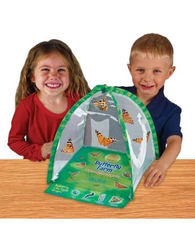 Granja de Mariposas Insect Lore | Kit con 5 Orugas Vivas