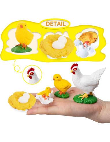 Juego Educativo Ciclo de Vida de Pollos 4 Piezas