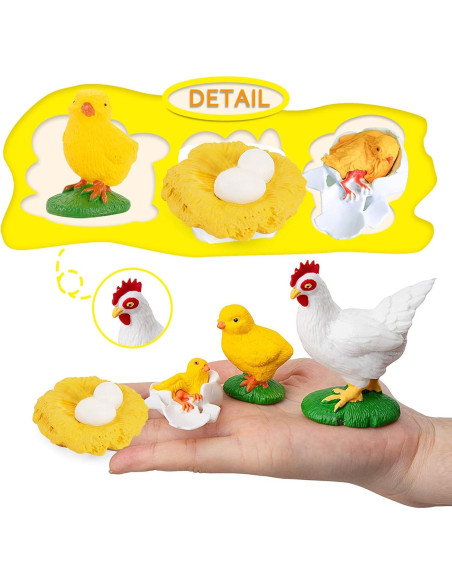 Juego Educativo Ciclo de Vida de Pollos 4 Piezas Juego Educativo Ciclo de Vida de Pollos 4 Piezas