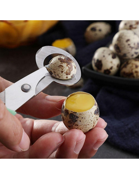 Tijeras de Acero Inoxidable Risprsulen para Huevos de Codorniz Tijeras de Acero Inoxidable Risprsulen para Huevos de Codorniz