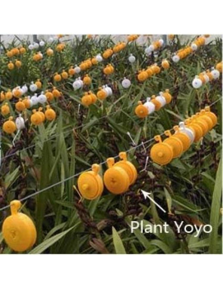 Soporte para Plantas Yoyo Grow Amarillo - Paquete de 10 Soporte para Plantas Yoyo Grow Amarillo - Paquete de 10