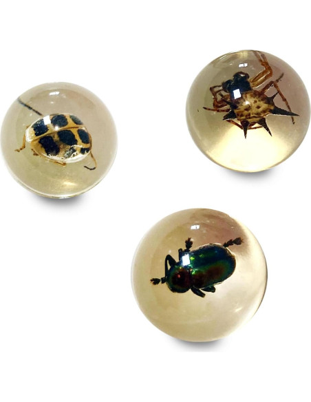 Canicas de Insectos Safari Ltd - Set de 8 Canicas Educativas Canicas de Insectos Safari Ltd - Set de 8 Canicas Educativas