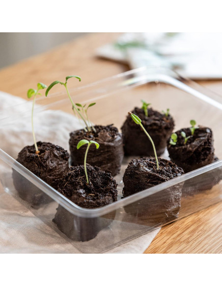 Pellets de Coco Coir OwnGrown - 125 Tapones para Semillas Pellets de Coco Coir OwnGrown - 125 Tapones para Semillas