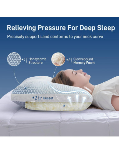 Juego de 2 almohadas viscoelásticas Lyralith hipoalergénicas