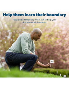Banderas de Límite PetSafe 50 Unidades para Cercas 2