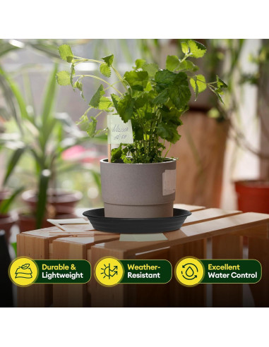 Paquete de 4 platos para plantas Maygrove 20 cm multicolor